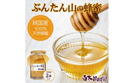 【先行予約】爽やかな香り広がる100%天然蜂蜜 ぶんたん山の蜂蜜　360g 2本入り〈2026年6月頃から順次発送〉  /  はちみつ ハチミツ 高知県産 国産 天然はちみつ 土佐 高知 【白木果樹園】【白木果樹園】 [BQAI054]