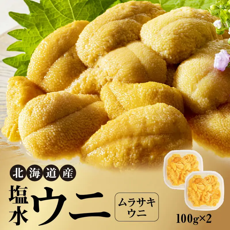 北海道産 世壱屋 塩水ウニ（ムラサキウニ）200g_Y038-0139