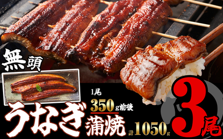 ［無頭］ うなぎ蒲焼 3尾 約1050g ふっくら ジューシー