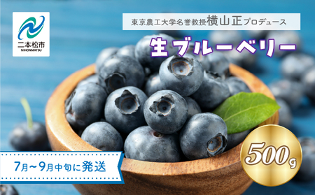 《2026年7月以降順次発送》ブルーベリー果実500g（品種おまかせ）ブルーベリー フルーツ【東和ブルーベリー研究農園】