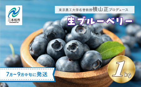 《2026年7月以降順次発送》ブルーベリー果実1kg（品種おまかせ）　ブルーベリー フルーツ【東和ブルーベリー研究農園】
