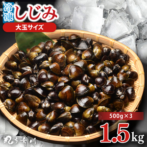 しじみ 冷凍 特選 大玉 1.5kg（500ｇ×3）砂抜き済み 涸沼川 う女川（IX-112）