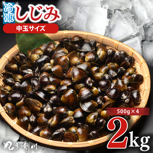 しじみ 冷凍 中玉 2kg（500ｇ×4）砂抜き済み 涸沼川 う女川（IX-116）