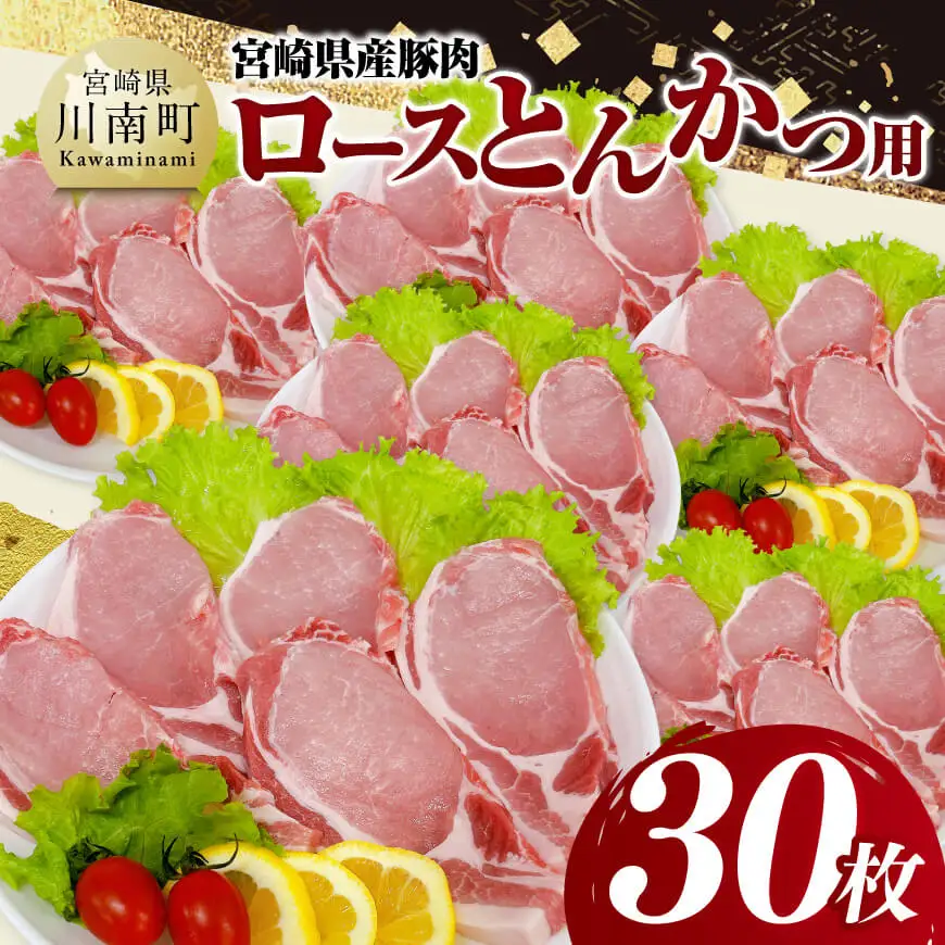 宮崎県産豚肉　ロースとんかつ用（100g以上×30枚） 【 豚肉 豚 肉 宮崎県産 ロースカツ 送料無料 】