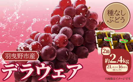 デラウェア 約2.4kg16房入り