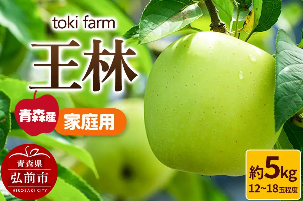 【26年11月発送】りんご 王林 約5kg（12～18玉程度）家庭用 toki farm