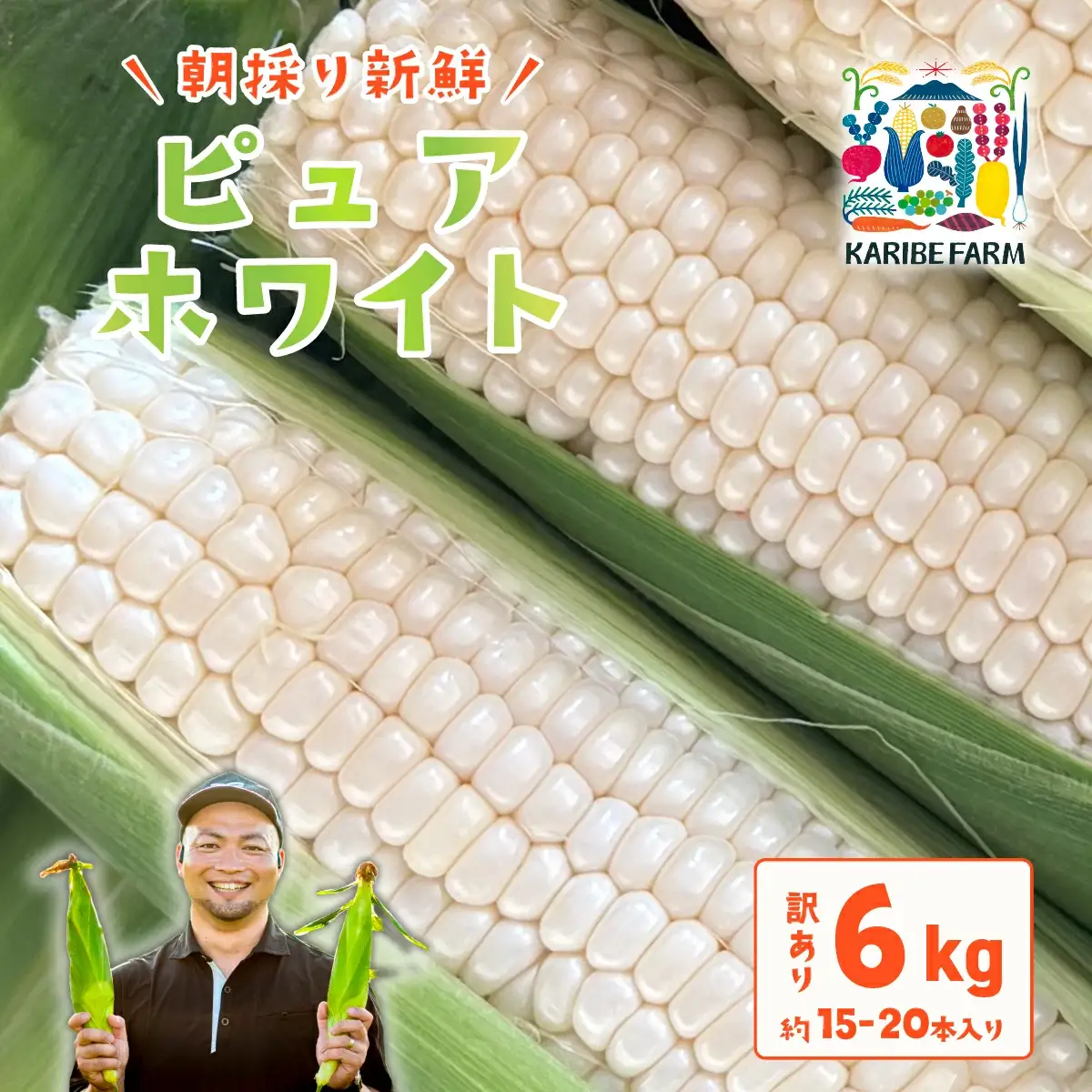 とうもろこし 訳あり ピュアホワイト 6kg 先行予約 トウモロコシ