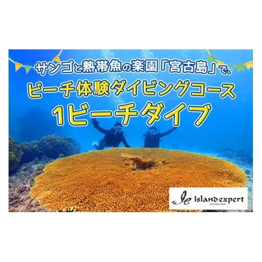 JK003　サンゴと熱帯魚の楽園「宮古島」で、ビーチ体験ダイビングコース（1ビーチダイブ）