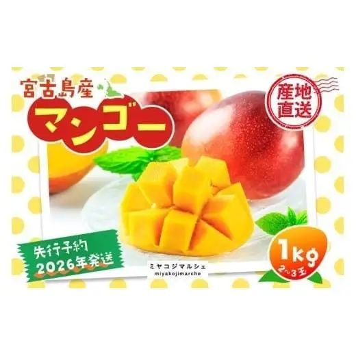 JH001《先行予約 2026年発送》宮古島産マンゴー１kg【(株)フラモン】