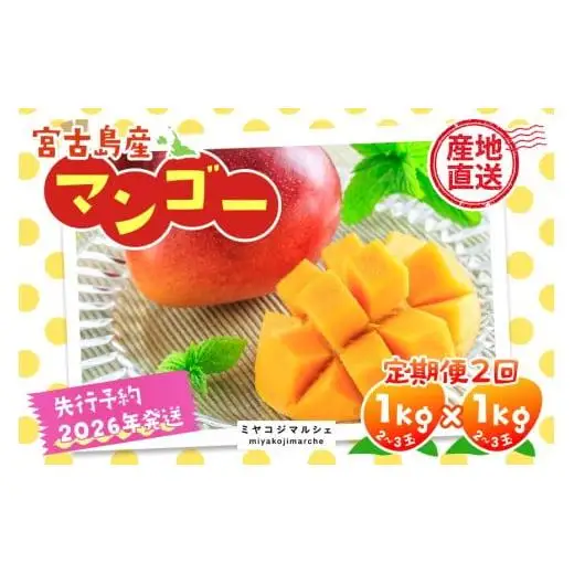 JH003《先行予約 2026年発送》宮古島産マンゴー（1ｋｇ×定期便2回）【（株）フラモン】