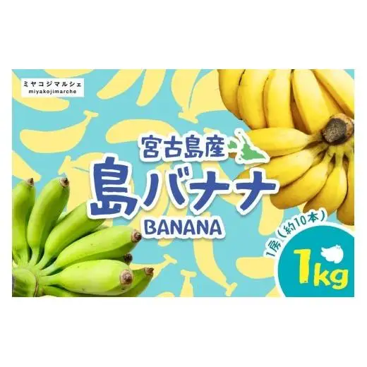 生バナナ葉1kg約 bokuzou-shop_bananahc