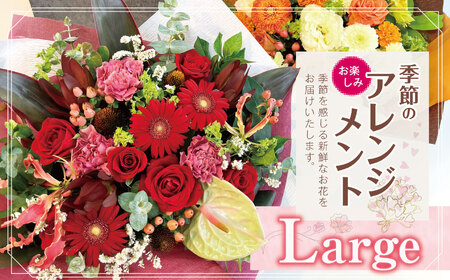フラワー アレンジ 「Large」 お楽しみ 季節 の アレンジメント | 花 アレンジ タイプ 高さ約42cm 幅約40cm 