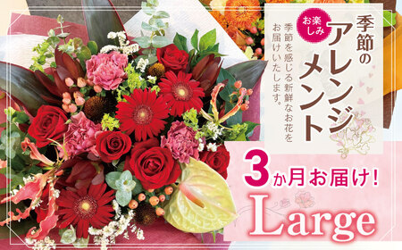 3か月 お届け お楽しみ！ 季節 の アレンジメント 「Large」 | アレンジ タイプ 高さ約42cm 横幅約40cm 