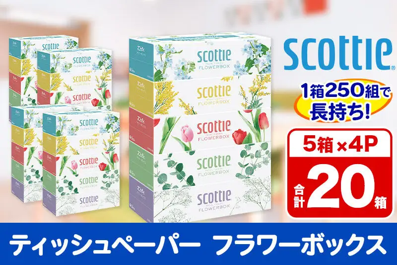ティッシュペーパー スコッティ フラワーボックス250組 20箱(5箱×4パック) ティッシュ 秋田市オリジナル 新生活