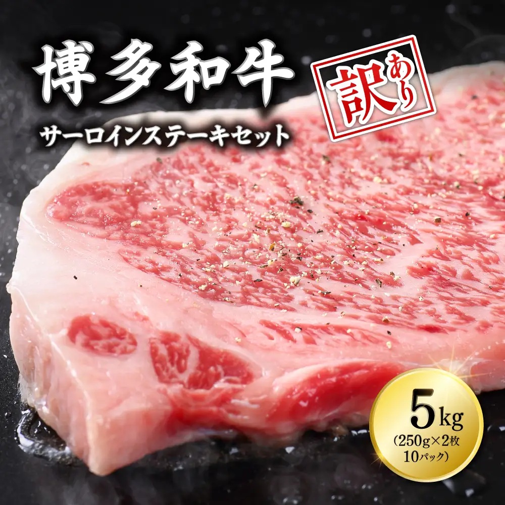 【訳あり】博多和牛サーロインステーキセット5kg（250g ２枚入り×10p）Y13-S