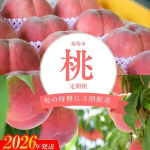 No.2917 ヤマ考紺野果樹園 福島の桃だけ３種定期便 各約2kg【2026年発送】