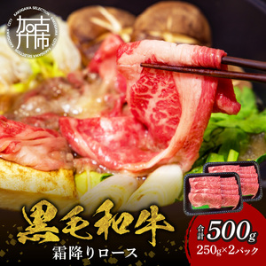 【肉のまち かこがわ】黒毛和牛 霜降ロース スライス 250g×2 《 黒毛和牛 和牛 霜降ロース ロース お肉 薄切り 》【2402A00621】