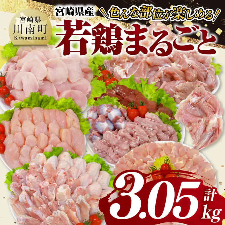 鶏肉 セット 宮崎県産 若鶏 まるごと 3.05kg 鶏肉セット 鶏肉セット 鶏肉セット 鶏肉セット