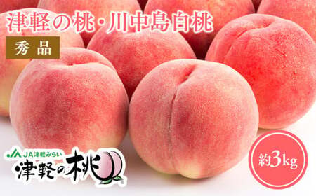 ≪8月下旬～9月中旬発送予定≫ 津軽の桃 川中島白桃 約3kg  秀品 《hi-0001-002》