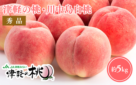 ≪8月下旬～9月中旬発送予定≫ 津軽の桃 川中島白桃 約5kg 秀品《hi-0001-003》