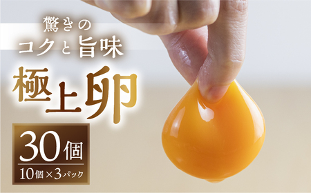 極上卵 30 個 割れ保証付き 卵