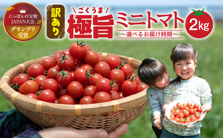【訳あり】グランプリ受賞 完熟 出汁推し実 ミニトマト 2kg  