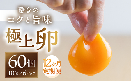 【12回定期便】コク旨 極上卵 60個 割れ保証付き