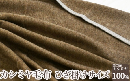 カシミヤ毛布 ひざ掛けサイズ [2163] | 毛布
