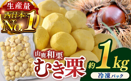 むき栗 約1kg 【株式会社あんず】[ZBT014]