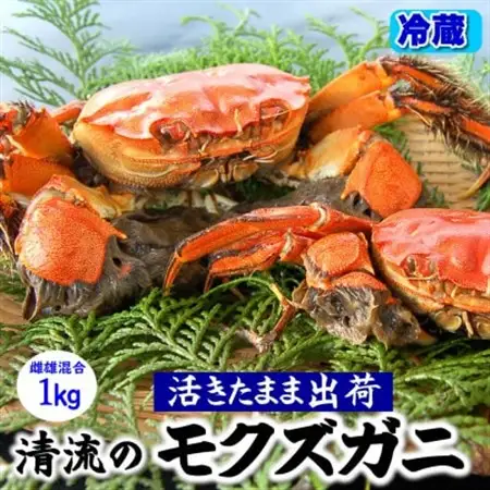 天然　活モクズガニ　約1kg　兵庫県新温泉町　【配送不可地域：離島・北海道・沖縄県・東北・九州】【1243508】