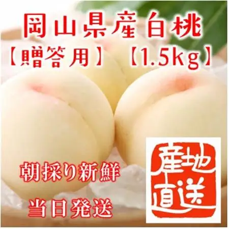 岡山県産白桃　約1.5kg(4～6玉)【配送不可地域：離島・北海道・沖縄県】【1415014】