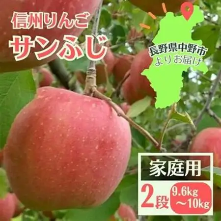信州りんご サンふじ(2段)計9.6kg～10kg 家庭用【1508408】