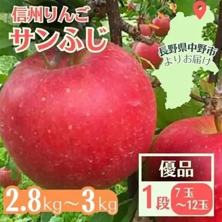 信州りんご サンふじ(1段)2.8kg～3kg 優品【1508410】