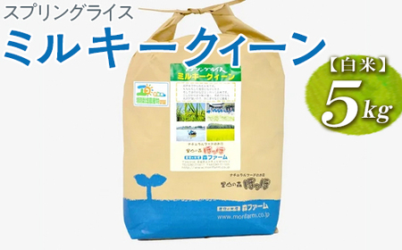 スプリングライス ミルキークィーン (白米) 5kg | 米 こめ コメ ご飯 単一米 国産 茨城県産 _BI22