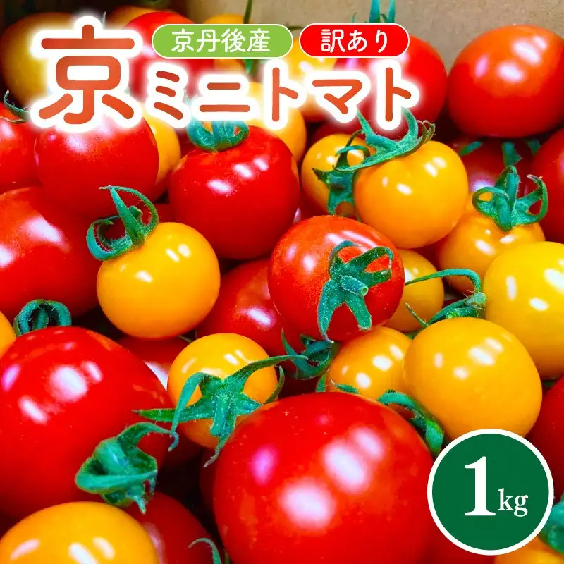 【トマト】カラフルミニトマト 1kg