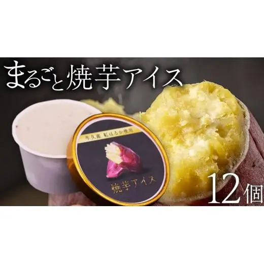 牛久市産 紅はるか 使用 焼き芋アイス 12個 入り