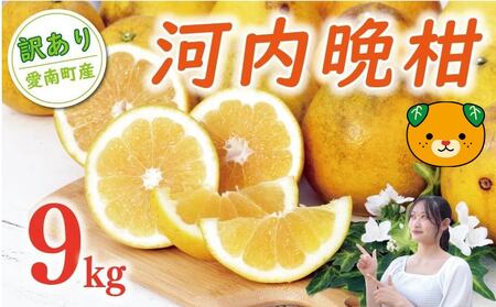 【数量限定】 訳あり 河内晩柑 9kg （ Lサイズ 以上 ） 河内晩柑
