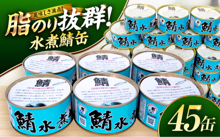 若狭の鯖水煮缶詰 45缶セット サバ缶 おつまみ 保存食 [F-075003] [BFBS007]