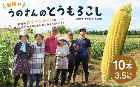 【卯野農場】産地直送！生でも美味しい 朝採れ スイートコーン 10本 3.5kg以上 とうもろこし コーン 【2026年7月上旬-8月下旬発送予定】