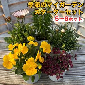 809.季節のマイガーデン・スターターセット　※離島への配送不可