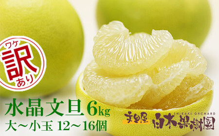 【先行予約】水晶文旦 ご家庭用お得箱 約6kg Mサイズ?4Ｌサイズ（12?16個入り）〈2026年10月上旬?11月上旬頃発送〉  /  訳あり ワケあり 訳 傷 キズ へこみ 文旦 ブンタン ぶんたん 水晶文旦 果物 柑橘【白木果樹園】 [BQAI022]