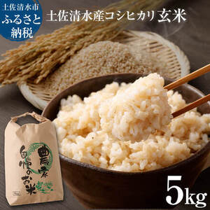 令和8年8月～発送 新米 コシヒカリ 玄米 5kg 東京から最も遠い田舎からいち早くお届け！ きれいな水育ち 健康食品 こしひかり 米 お米 おこめ げんまい 高知県土佐清水市産 ビタミン ミネラル 食物繊維 お弁当 おにぎり 国産 先行予約【R01615】