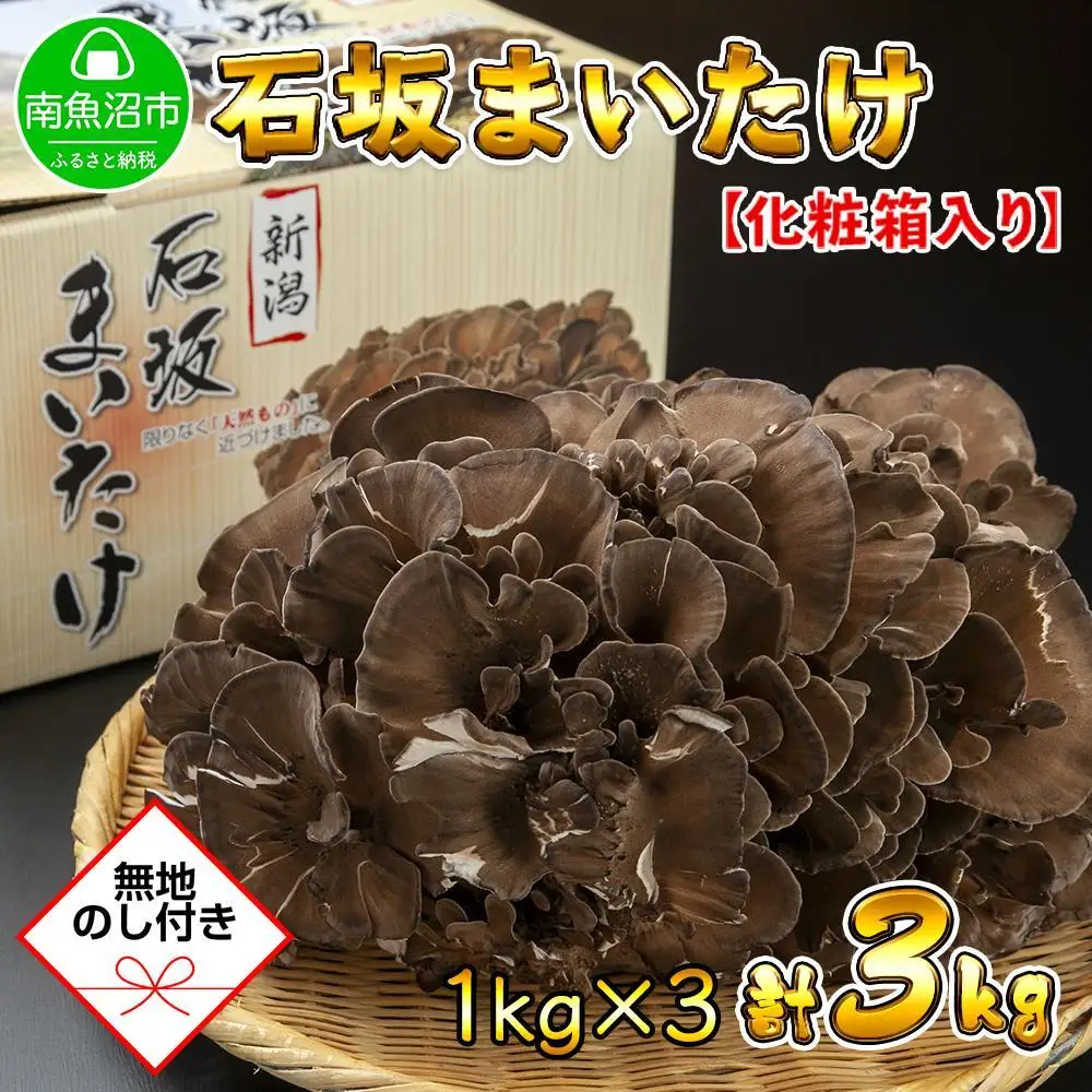 【無地のし】 新潟県 南魚沼産 厳選 国産 石坂 高級  まいたけ 産地直送 1kg ×3箱 計3kg 贈り物 ギフト お中元 お歳暮 石坂きのこ