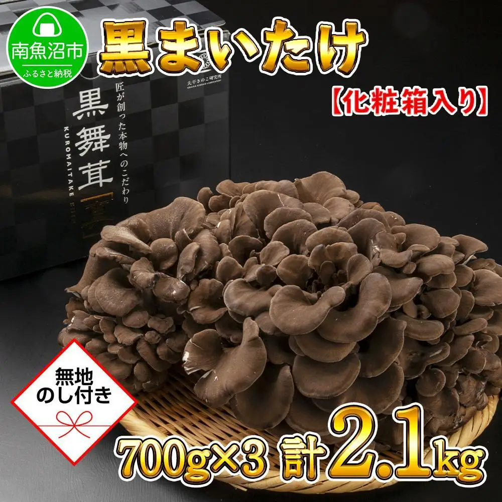 【無地のし】 新潟県 南魚沼産 厳選 国産 黒 高級 舞茸 まいたけ 産地直送 700g ×3箱 計2.1kg 贈り物 ギフト お中元 お歳暮 大平きのこ研究所