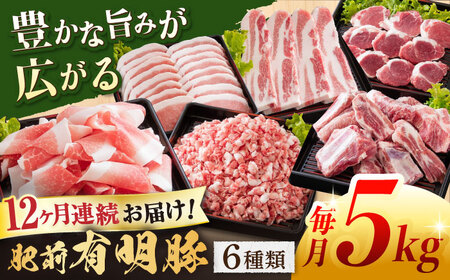 【定期便】 豚肉 6種セット 総計60kg NAS106 豚肉 全12回