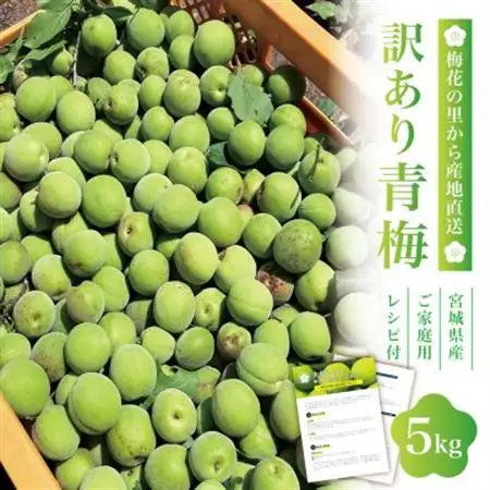 【宮城県産】ご家庭用青梅(訳あり生梅)5kg 梅酒・梅シロップ用 栽培期間中農薬不使用|太良衛門_果物・フルーツ   くだもの_【配送不可地域：離島・北海道・沖縄県・信越、北陸・東海・近畿・中国・四国・九州】【1497446】