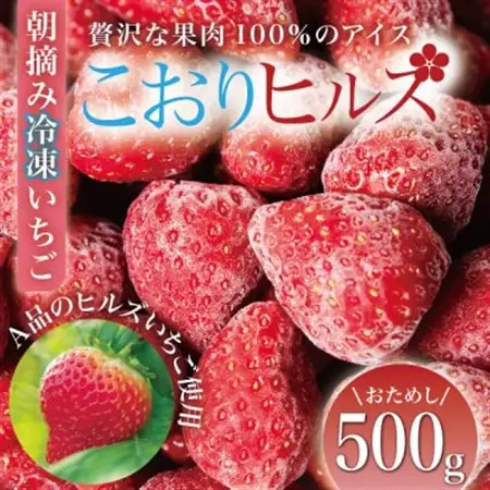 完熟朝摘み冷凍いちご『こおりヒルズ』500g【ヘタなし・急速冷凍】宮城のいちご農家から直送_果物・フルーツ いちご  イチゴ 苺_【配送不可地域：離島】【1497567】