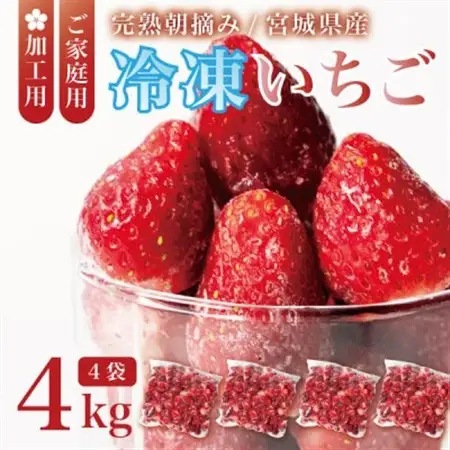 宮城県産 完熟冷凍いちご 4kg(1kg×4袋)【加工用・ご家庭用】ヘタ無しで便利♪通年出荷_果物・フルーツ いちご  イチゴ 苺_【配送不可地域：離島】【1497571】
