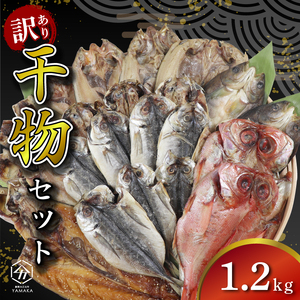 訳あり 干物 詰め合わせ 1.2kg 干物 