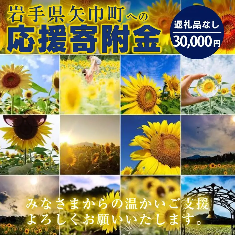 岩手県矢巾町（やはばちょう）応援寄附金（※返礼品なし）30,000円/矢幅 矢巾 観光地応援 支援 応援 国内旅行 教育 高齢者 医療 環境 防災 スポーツ 緑化 泊り お泊り 便利 お得 ホテル